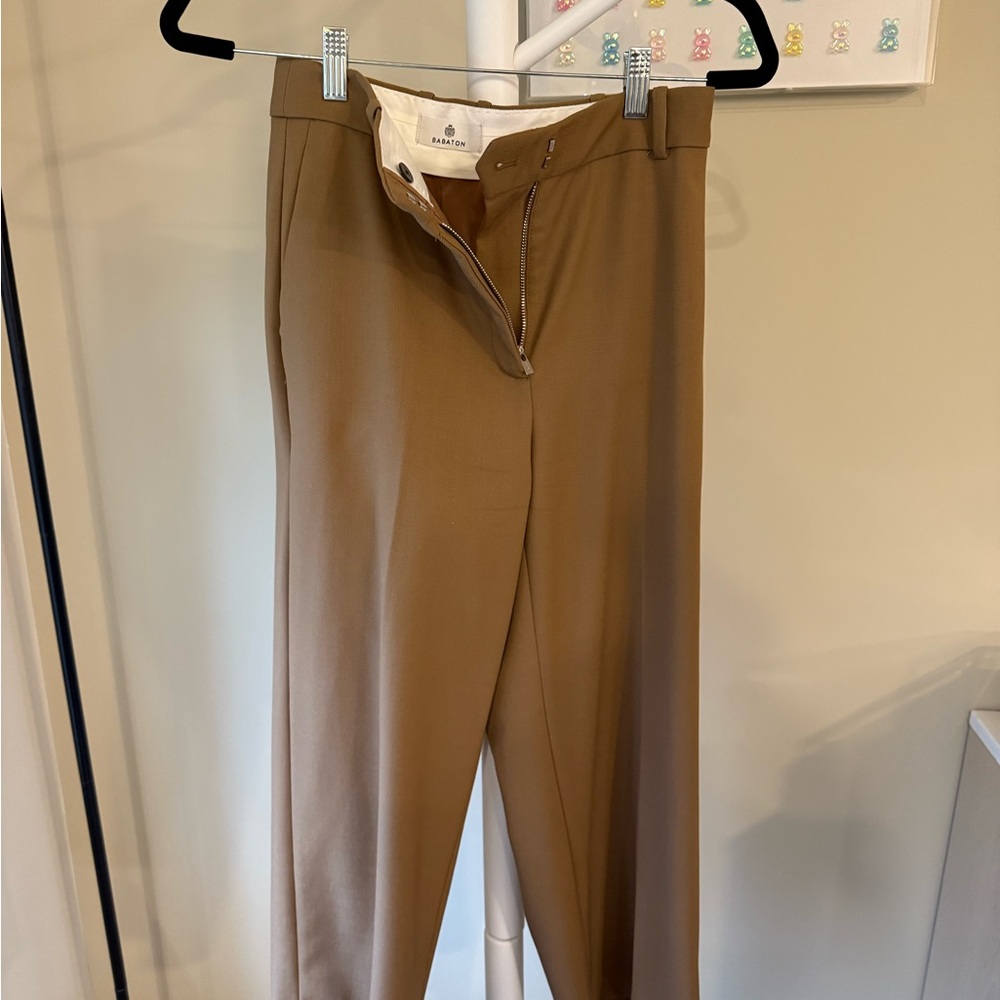 Aritzia Tan Ankle Pants